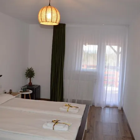 Guest house Pensiunea Anda