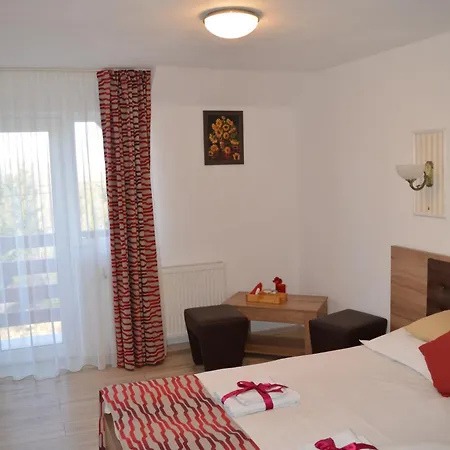 Pensiunea Anda Guest house